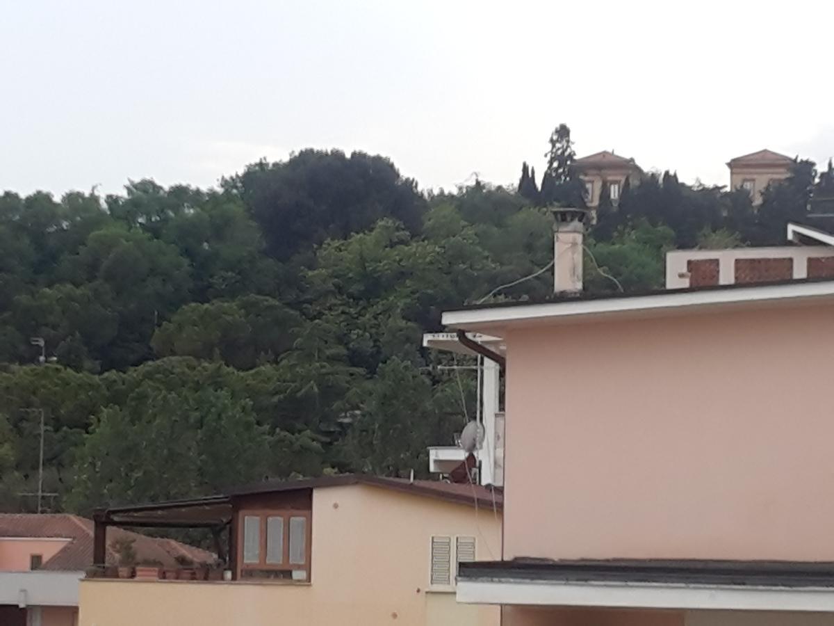 Hotel Antares Garni Giulianova Eksteriør bilde